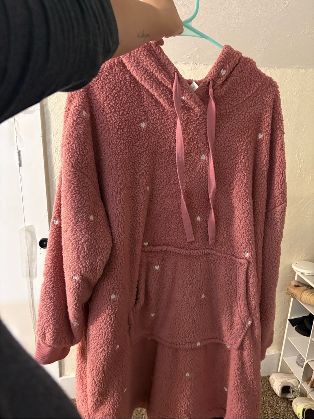 Wild fable oversized hoodie